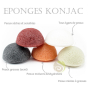 Quelle éponge konjac pour quelle peau naturelle 100% VEGAN