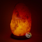 Lampe éclairée en sel d'Himalaya pièce unique