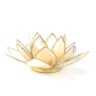 Lotus capiz ivoire et or photophore bougie mumière