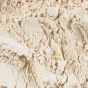 Maca bio stimulant sexuel ginseng Pérou libido énergie