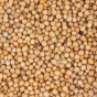 Moutarde recette utilisation bienfaits vertus recette préparation culinaire