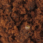 Muscovado Sucre entier meilleur sucre bienfaits nutrition