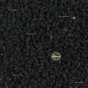 Graine de nigelle conseils utilisation préparation recette vertus