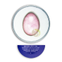 Fortification périnée massage du vagin oeuf de yoni pierre naturelle quartz rose