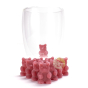 Ourson goût Framboise bio à infuser ou à sucer
