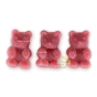Framboise infusion câline bio à infuser ou à croquer