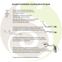 Conseil d'utilisation pince support à encens (brucelles) Shoyeido