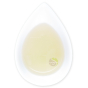 Oolong pouchong bio thé bleu vert thé d'origine d'exception
