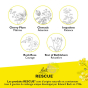 Composition Rescue Pets fleurs de bach original Famadem