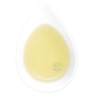 Thé vert fruité florale fraise datte rêve d'orient saveurs gourmandes