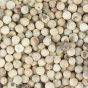 Poivre Sarawak de Malaisie en grains piquant modéré longueur en bouche