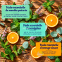 Concentré d'huiles essentielles de menthe poivrée, d'eucalyptus et d'orange Dresdner Essenz