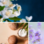 Poudre de bain noix de coco, de lavande et de jasmin Dresdner Essenz
