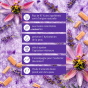 Vertus du sel de bain au sel d'Epsom Sleep Reset Dresdner essenz