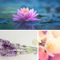 Sel de bain lotus, jasmin et lavande Stress away Dresdner Essenz
