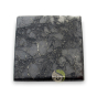 shungite pierre protection ondes électromagnétiques lithothérapie conseils d'utilisation