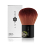 Pinceau super Kabuki vegan Lily Lolo fond de teint