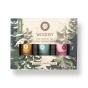 Coffret d'huiles essentielles woodsy boisées pour diffuseur de parfums