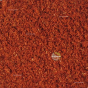mélange épices Tandoori masala indien recette préparation