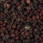 Poivre sauvage Madagascar rouge Voatsiperifery pour relever vos plats