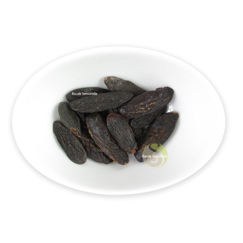 Tonka fèves épices chocolat recette utilisation bienfaits