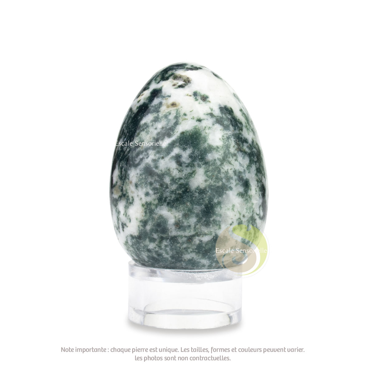 Oeuf d'agate mousse pierre minérale vertus et bienfaits lithothérapie