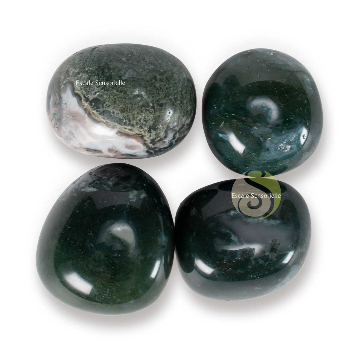 Agate mousse Inde pierre naturelle roulée collection lithothérapie