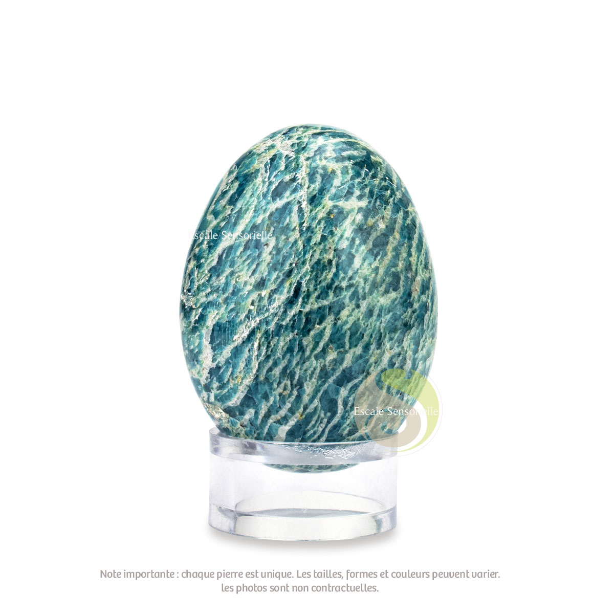 Oeuf amazonite, jade d'Amazonie pierre naturelle réconfortante lithothérapie