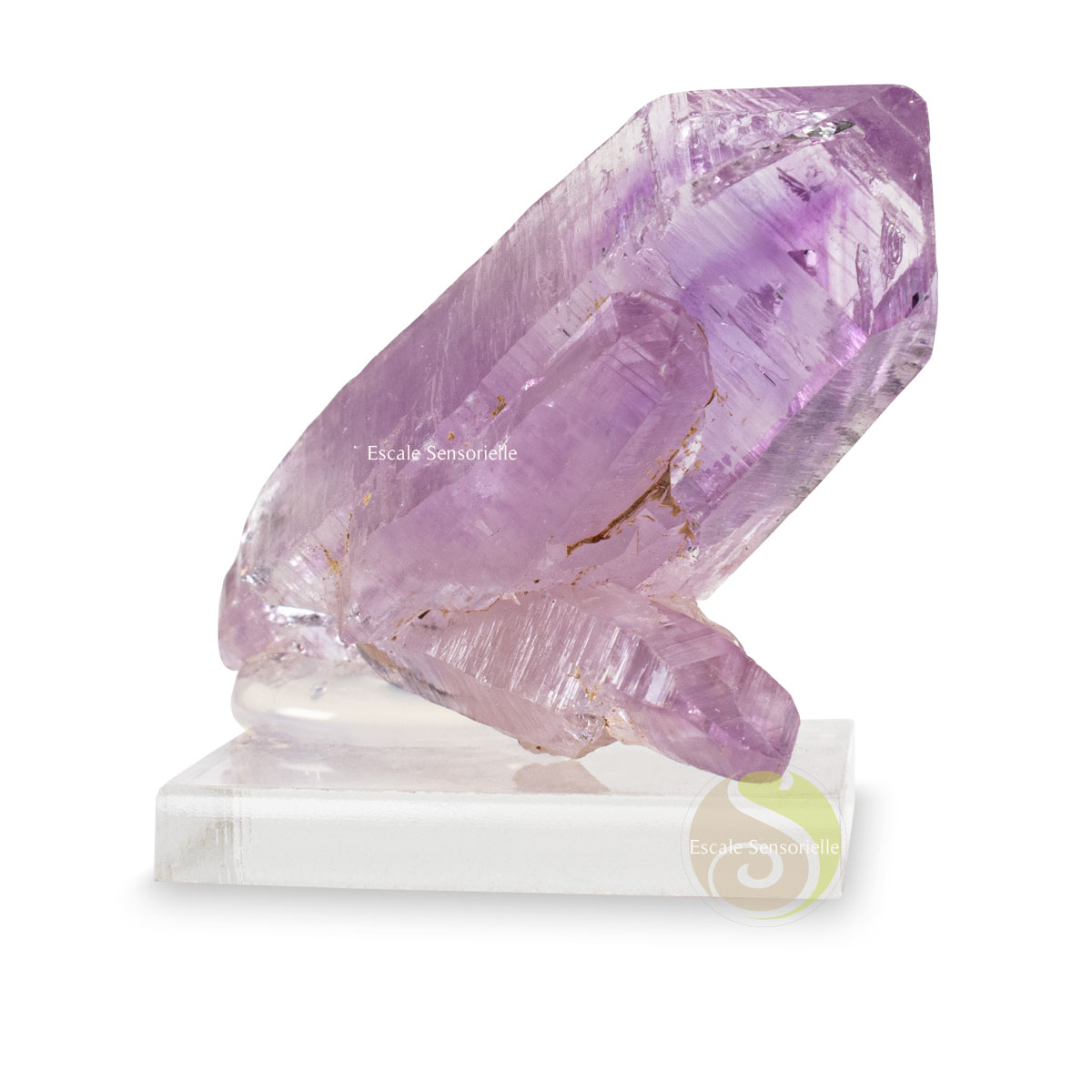 Améthyste de Vera Cruz du Mexique 20g