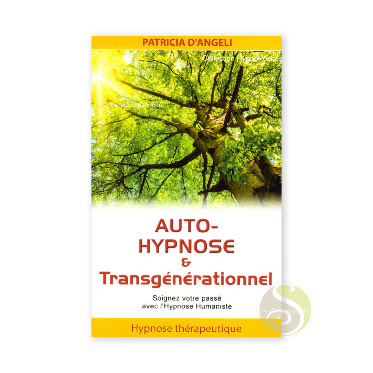 Auto-hypnose et transgénérationnel Patricia d'Angeli