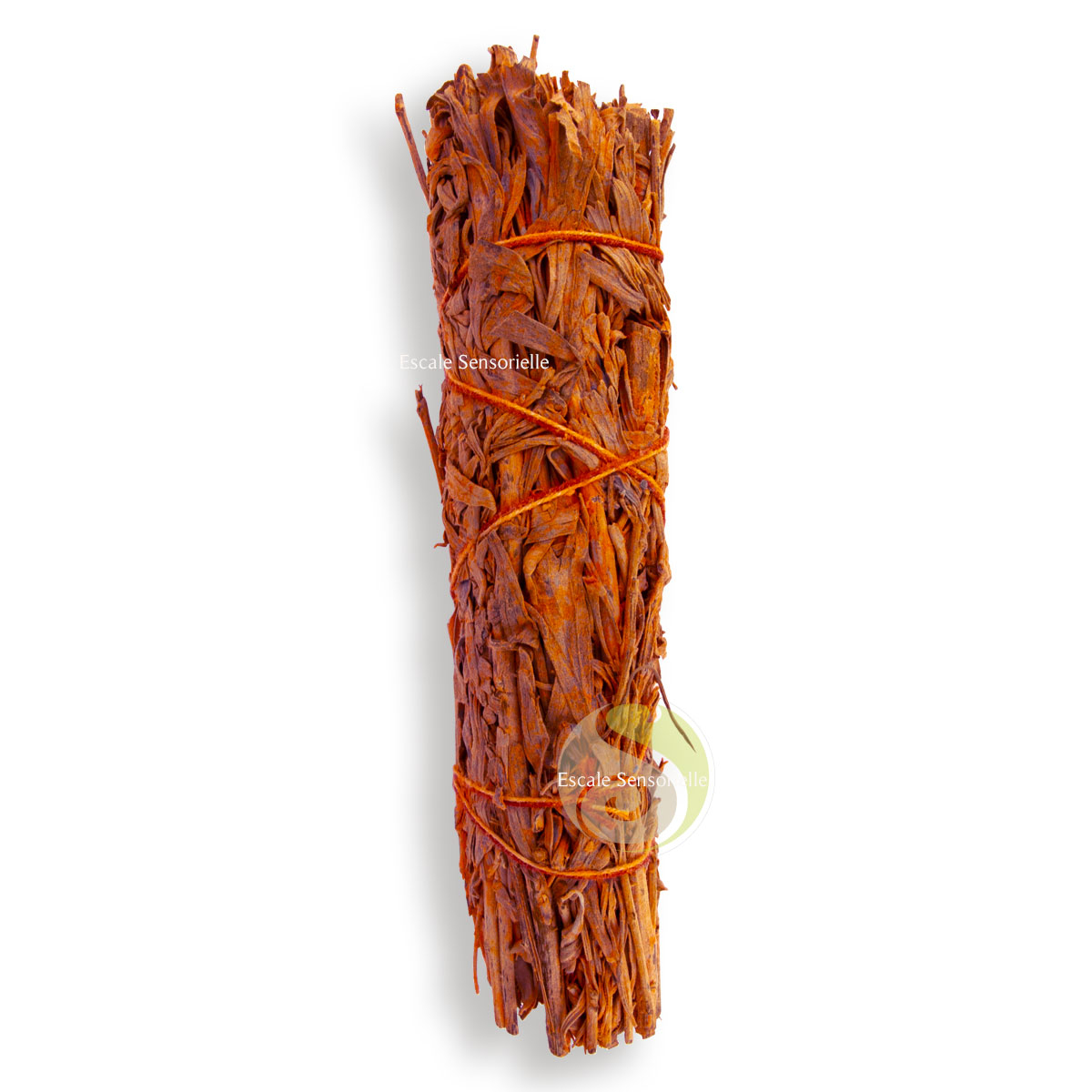 Bâton sauge et poudre de palo santo encens amérindien