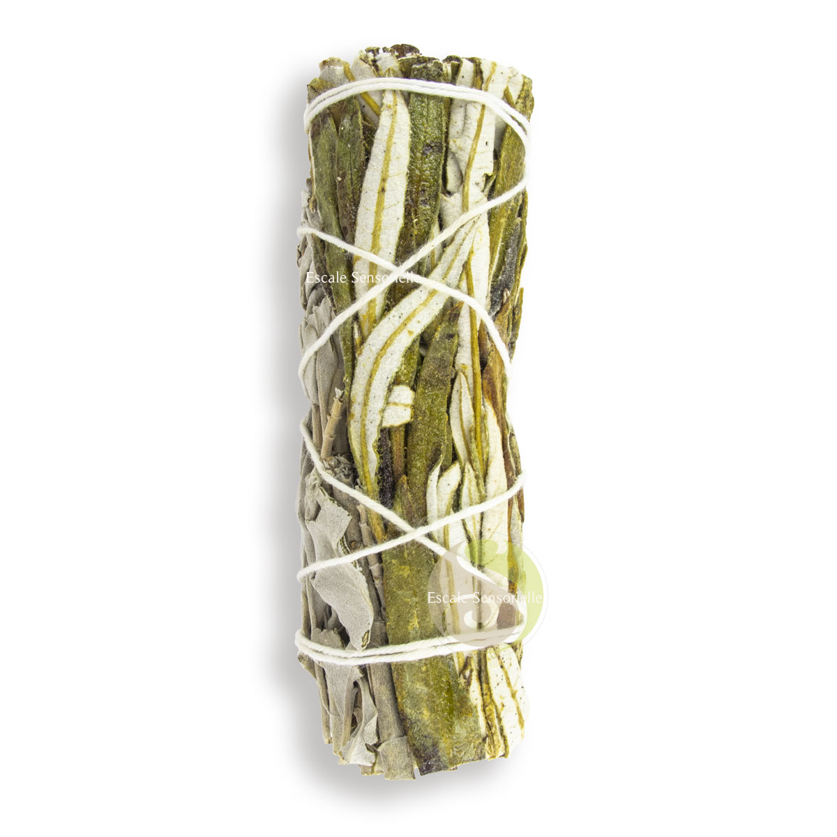 Bâton sauge et yerba santa purification et incantation chamanique