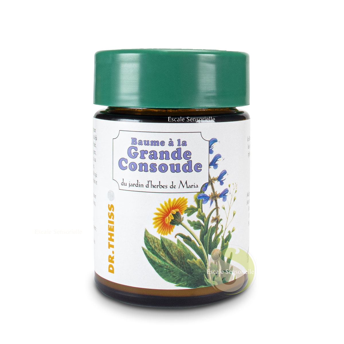 Baume grande consoude du jardin d'herbes de Maria Dr Theiss