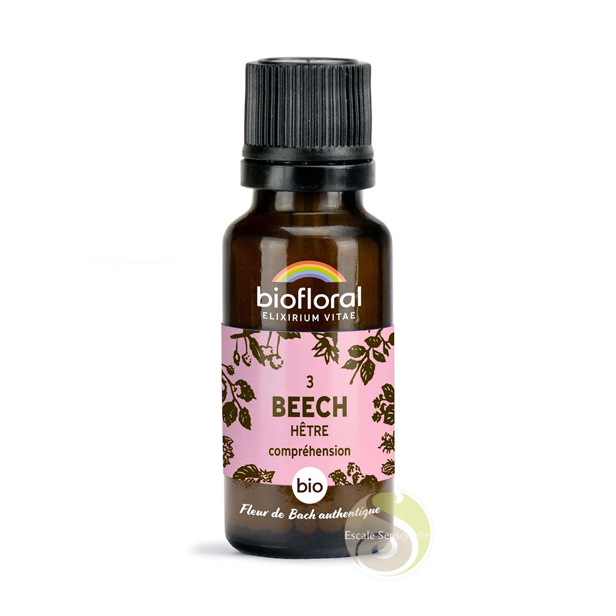 Hêtre, Beech, fleur de Bach N°1 sans alcool bio tolérance Biofloral