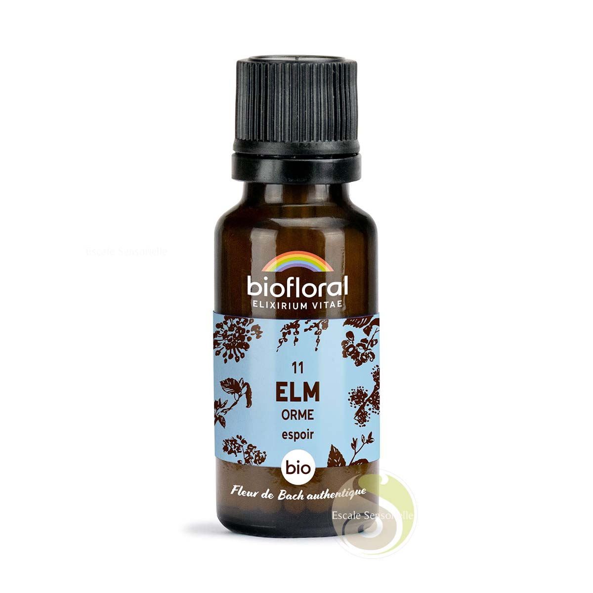 Elm orme Fleur de Bach N°11 sans alcool bio persévérance et force Biofloral