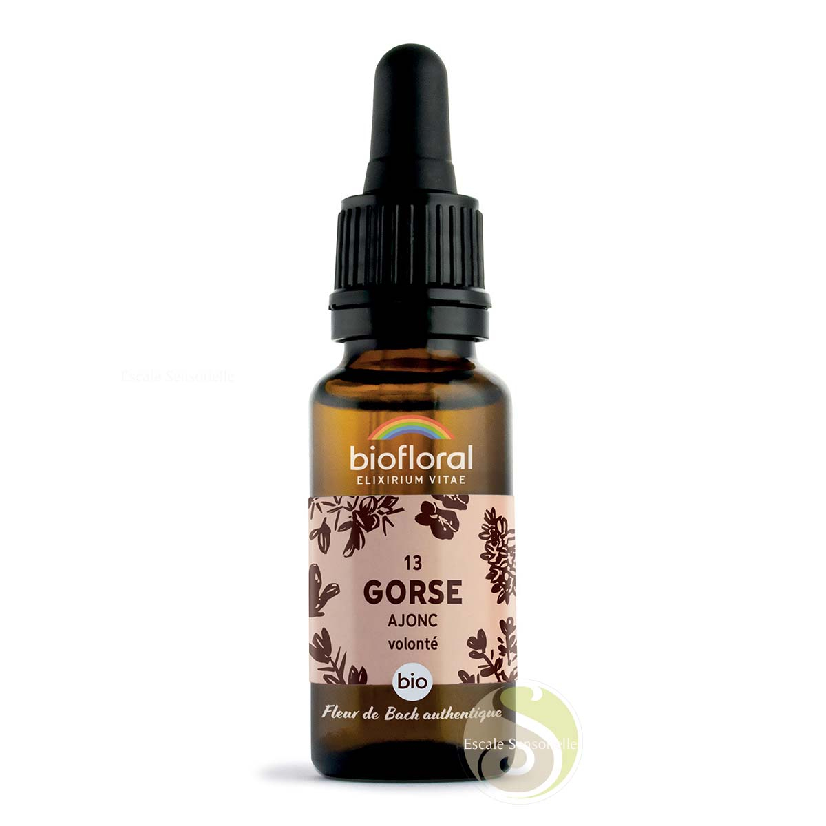 Gorse ajonc Fleur de Bach N°13 bio espoir et optimisme au quotidien Biofloral