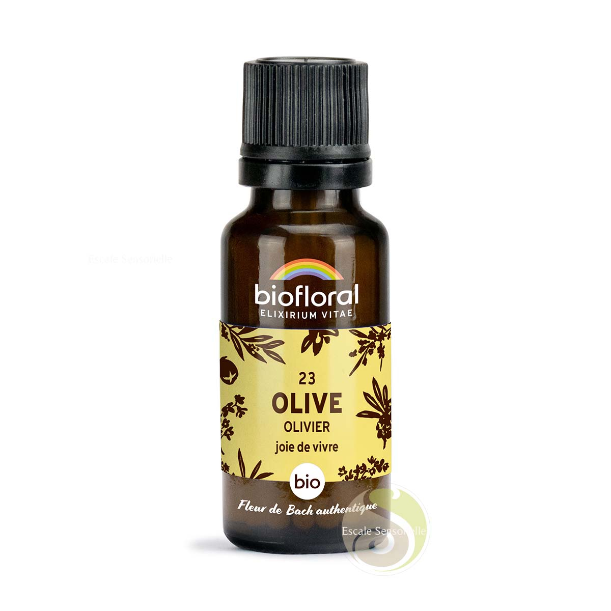 Olivier, olive fleur de Bach N°23 bio Biofloral régénération physique et mentale