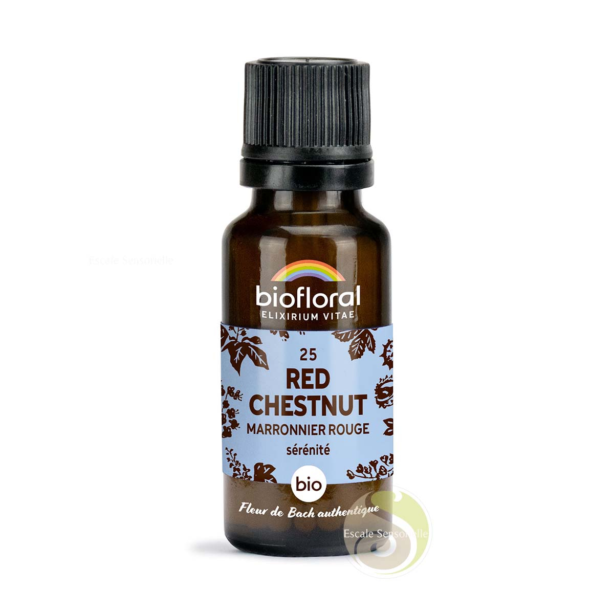 Marronnier rouge red chesnut fleur de Bach N°25 sans alcool sérénité Biofloral