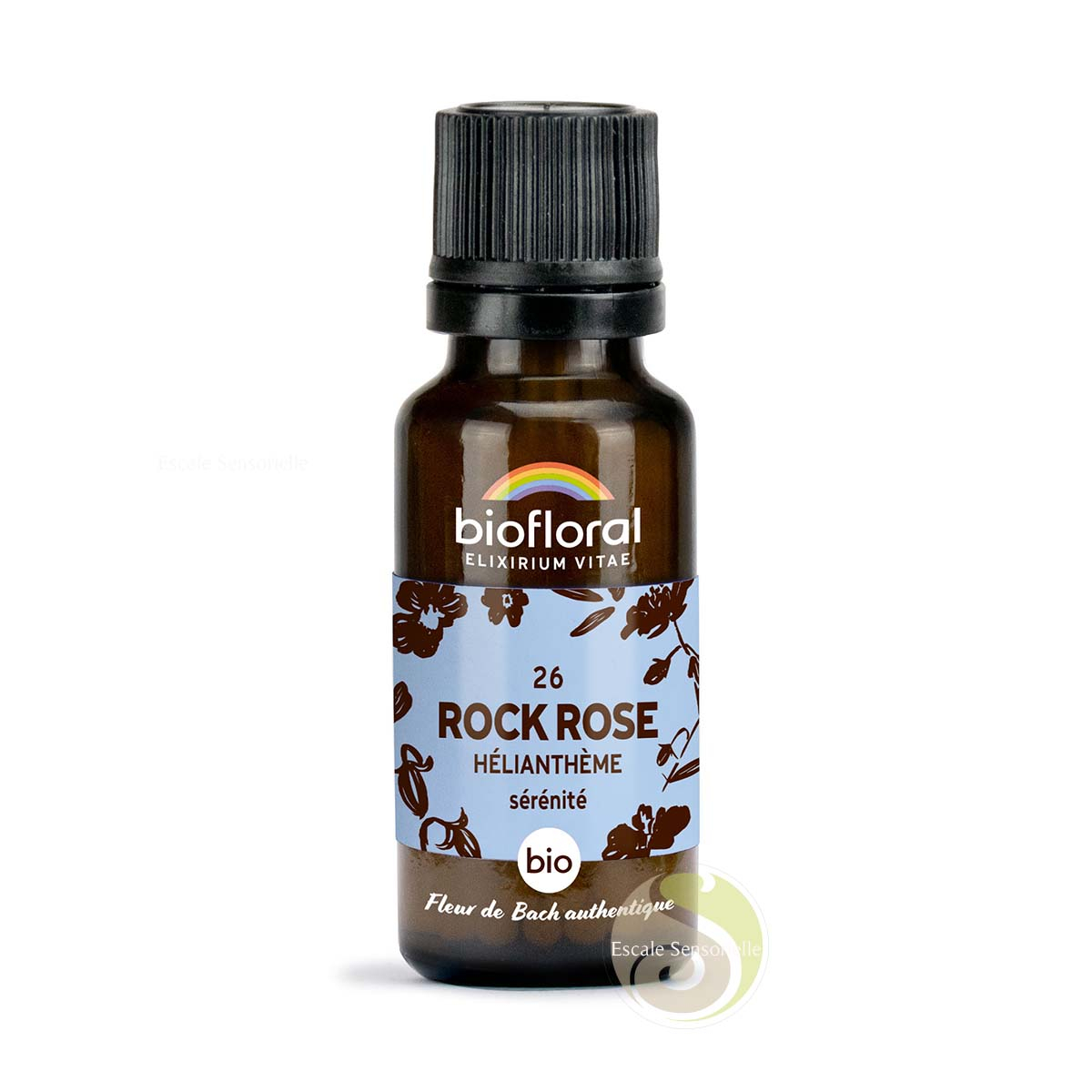 Hélianthème rock rose fleur de Bach N°26 sans alcool bio sérénité Biofloral