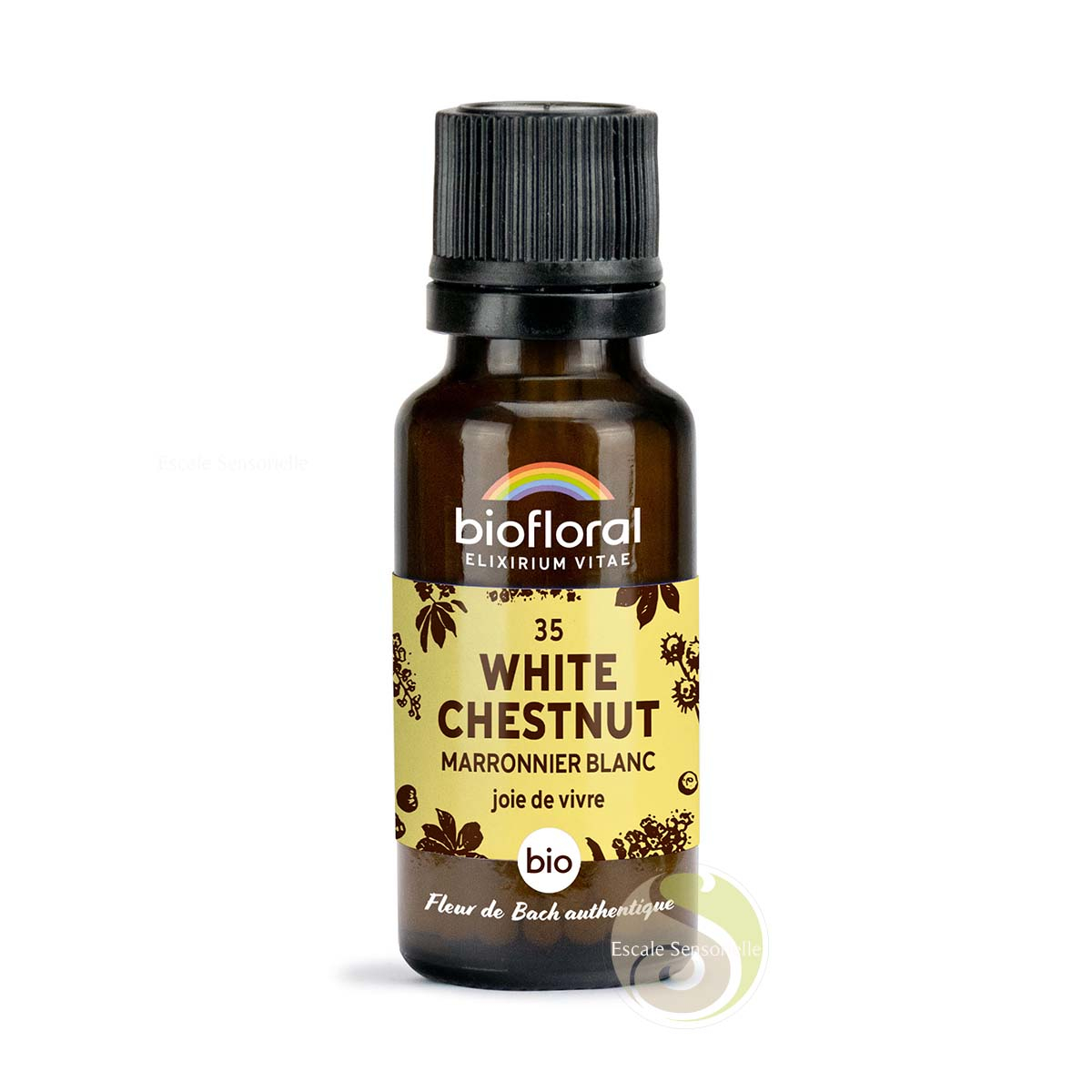 Marronnier blanc white chesnut fleur de Bach N°35 sans alcool bio joie de vivre Biofloral