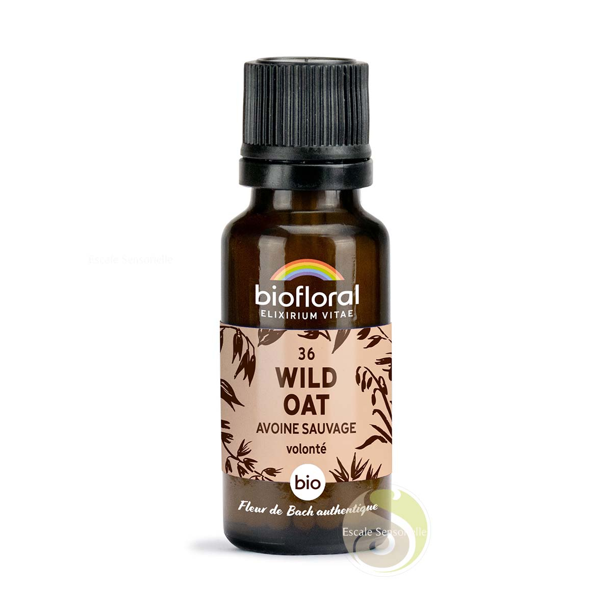 Avoine sauvage wild oat Fleur de Bach Bio N°36 bio Biofloral volonté