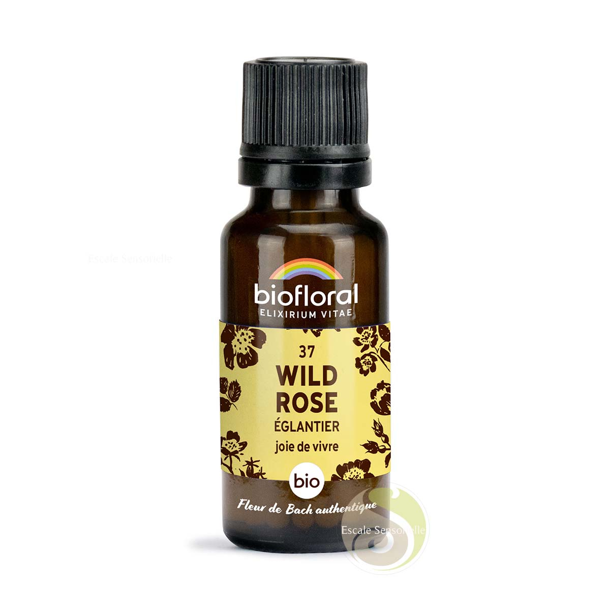 Églantier wild rose fleur de Bach N°37 bio sans alcool joie de vivre Biofloral 