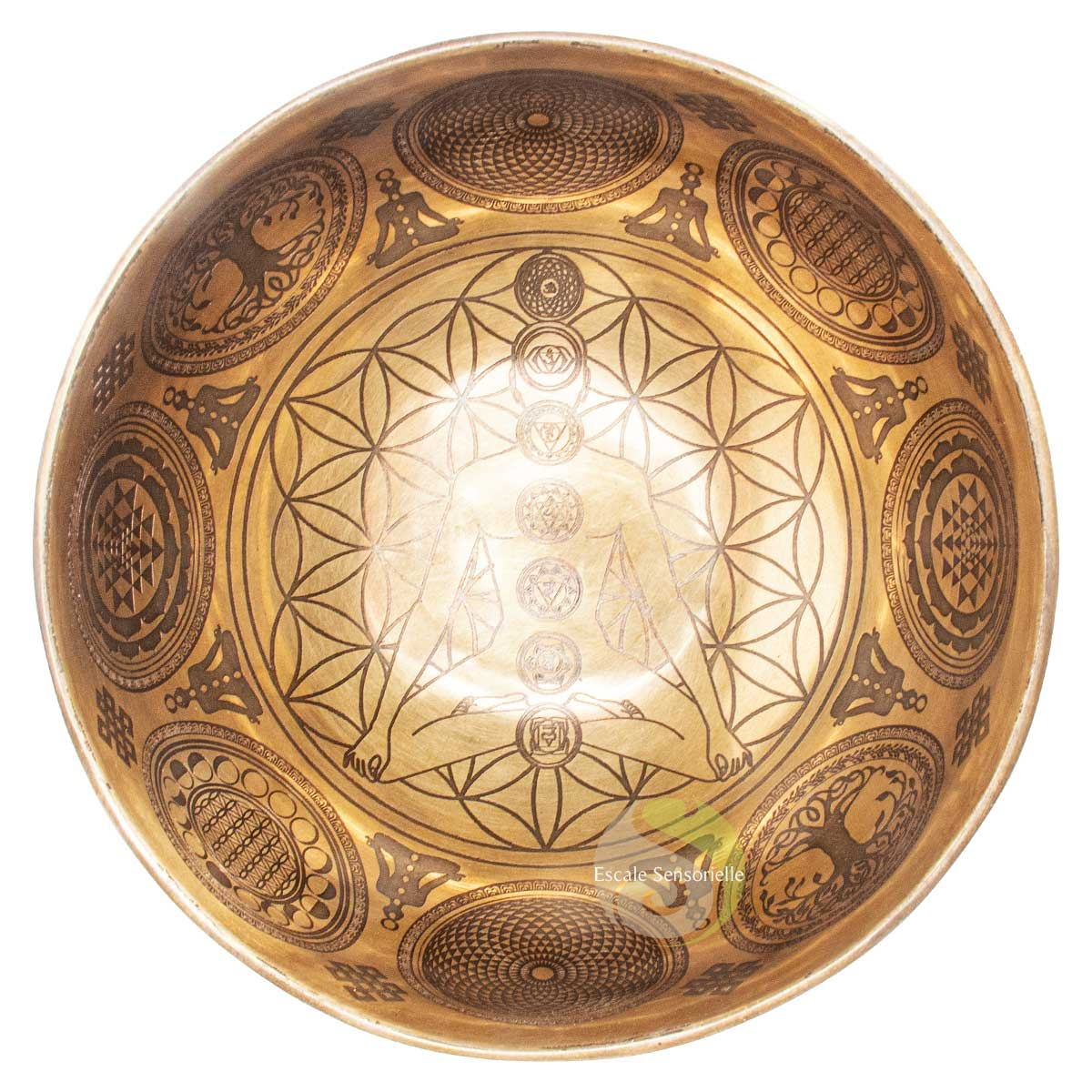 Bol chantant tibétain 7 chakras fleur de vie gravé fabrication manuelle