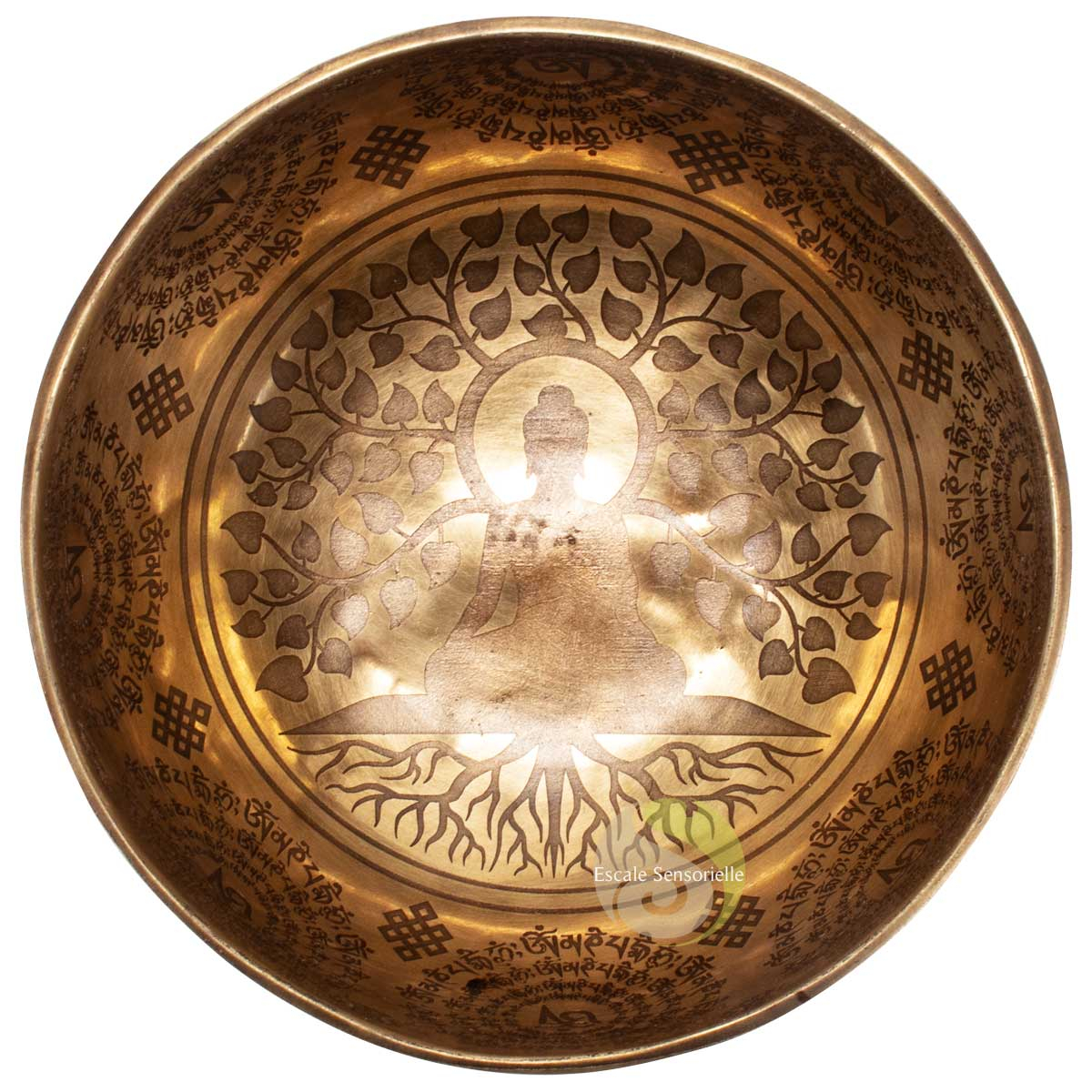 Bol 691g chantant tibétain Bouddha arbre de vie