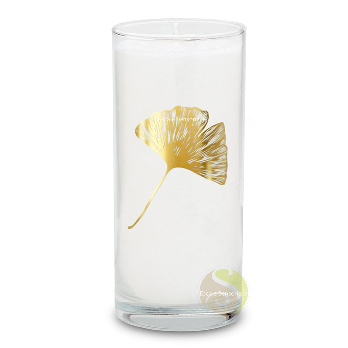 Bougie ginkgo blanche sans parfum stéarine végétale avec mèche coton