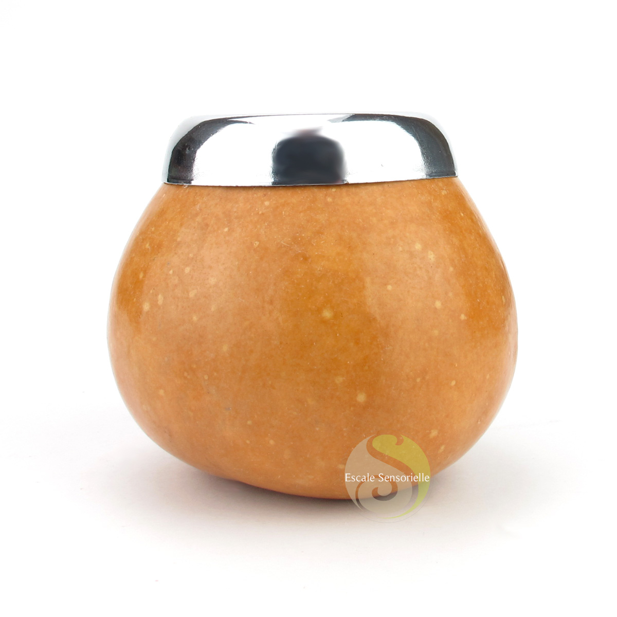 Calebasse récipient maté yerba courge creusée