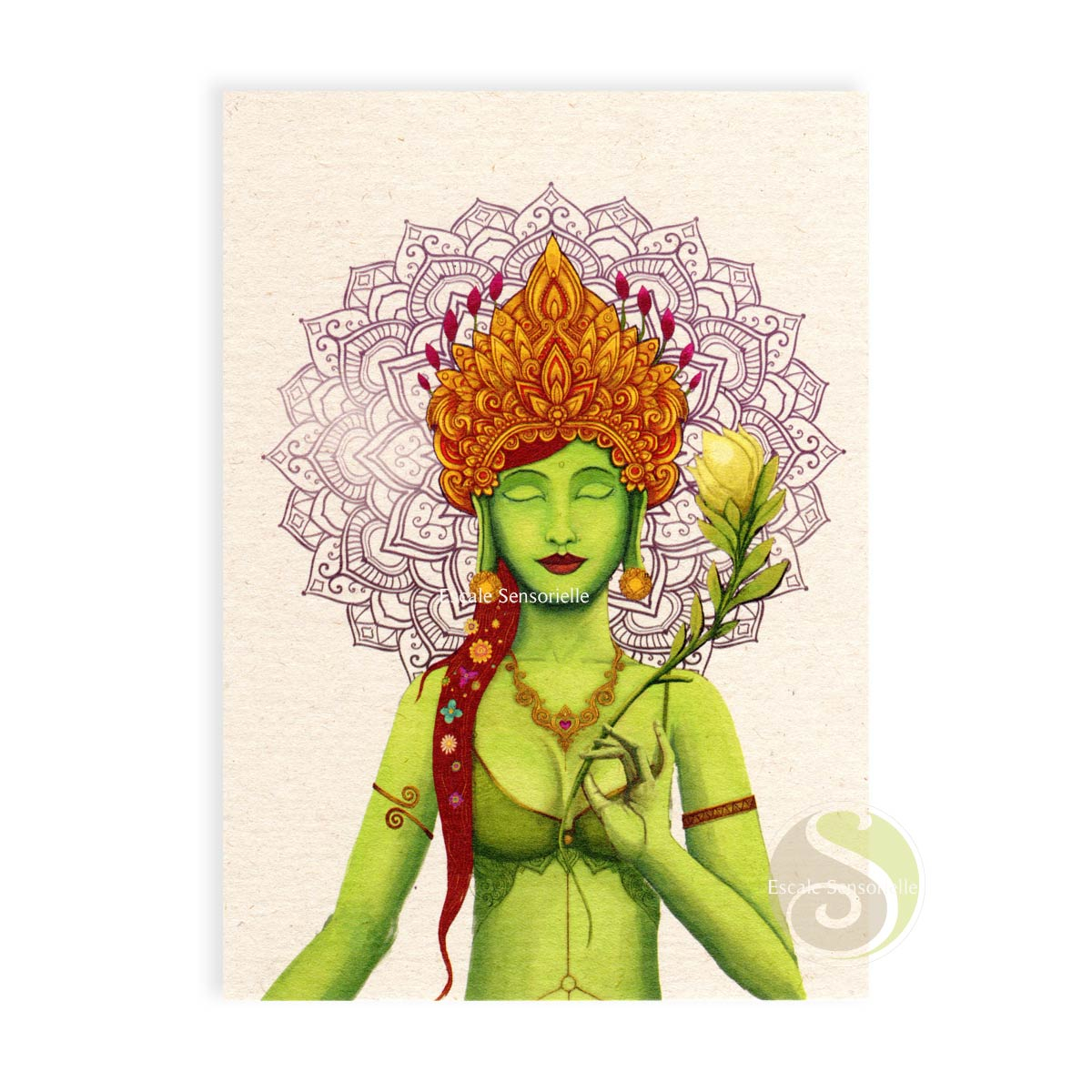 Carte postale Tara verte organic en papier FSC et encre 100% naturelle