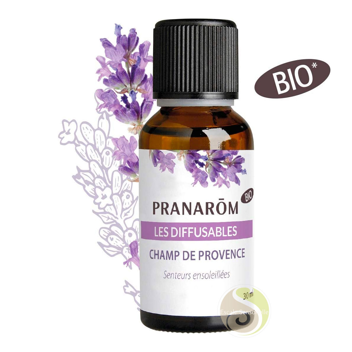 Champ de Provence Pranarom lavande romarin huile d'ambiance synergie bio les diffusables