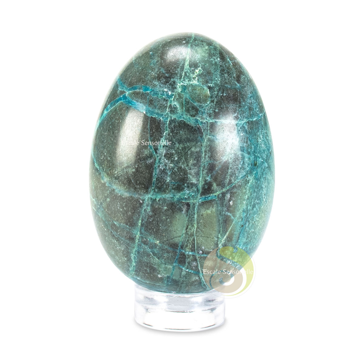Œuf chrysocolle pierre minérale du Pérou de réconfort