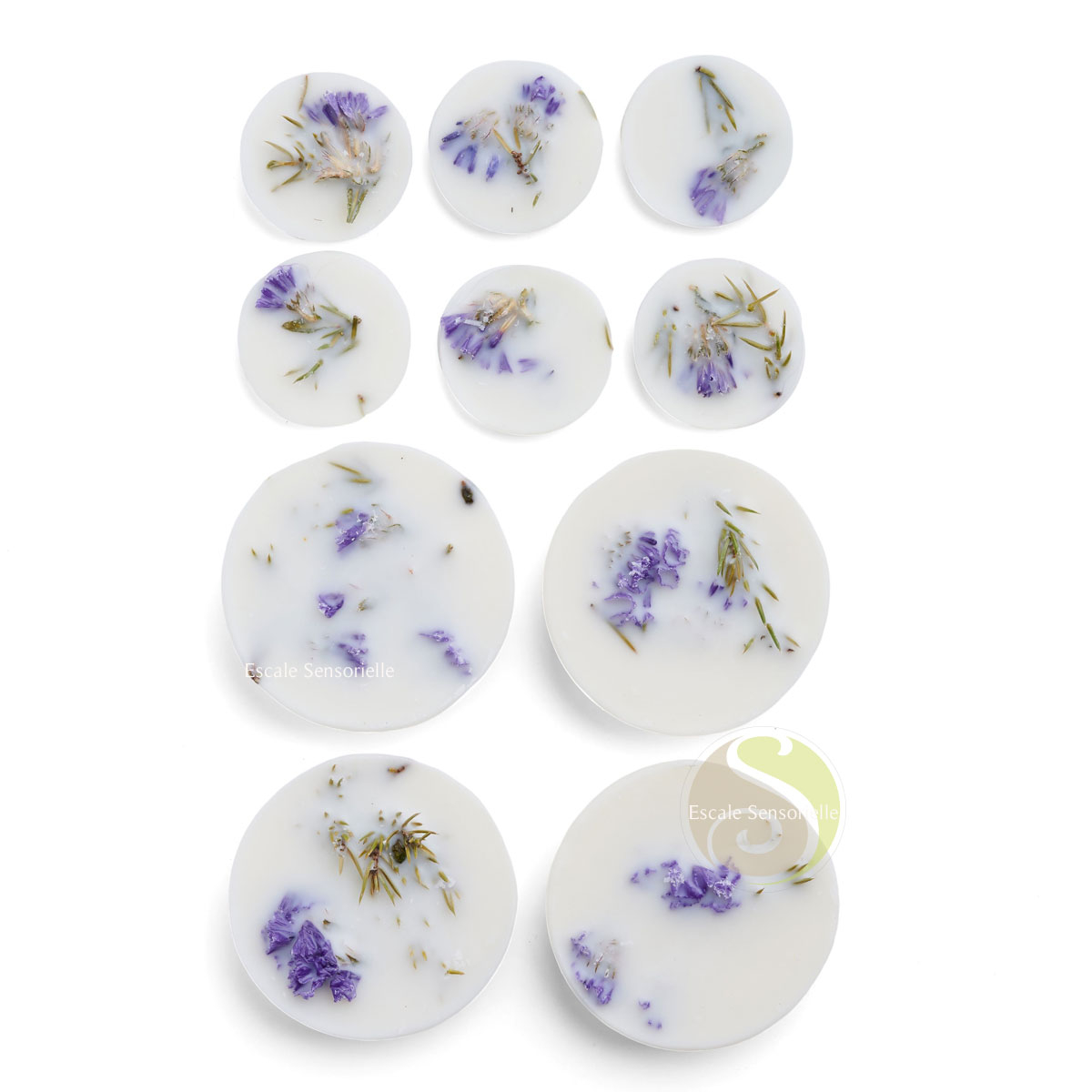 Fondants parfumés genévrier & limonium coffret 100% végétales The Munio